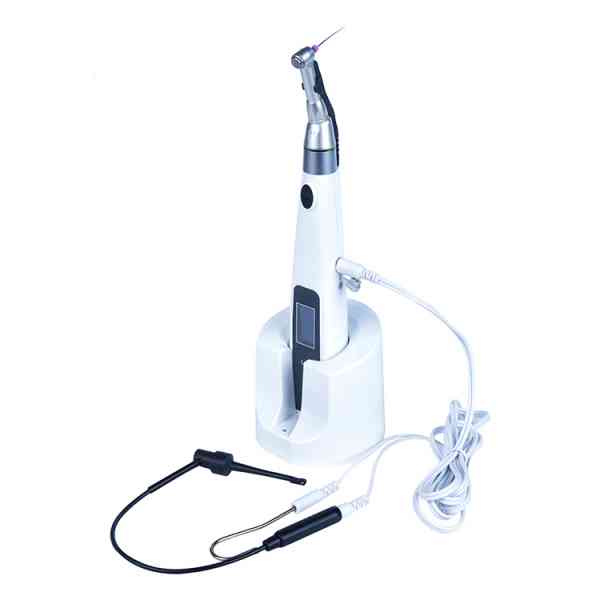 Dental Root Canal