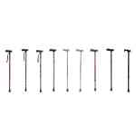 Walking Stick
