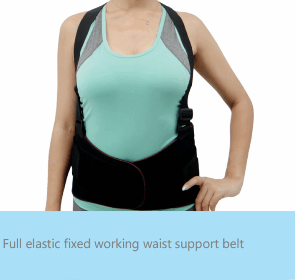 Waist Belt - Image 4
