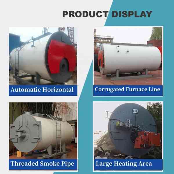 WNS Steam Boiler - Image 2