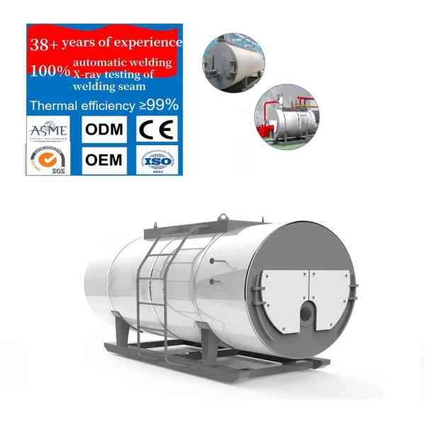WNS Steam Boiler